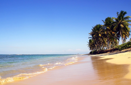 Car Rental with a Driver in Punta Cana: Freedom to the Rhythm of the Caribbean  (or Punta Cana – The Pearl of the Dominican Republic)