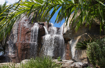 Car Rental with a Driver in Punta Cana: Freedom to the Rhythm of the Caribbean  (or Punta Cana – The Pearl of the Dominican Republic)