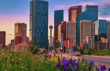 Calgary Looks West: Explore the City and the Rocky Mountains with a Private Driver