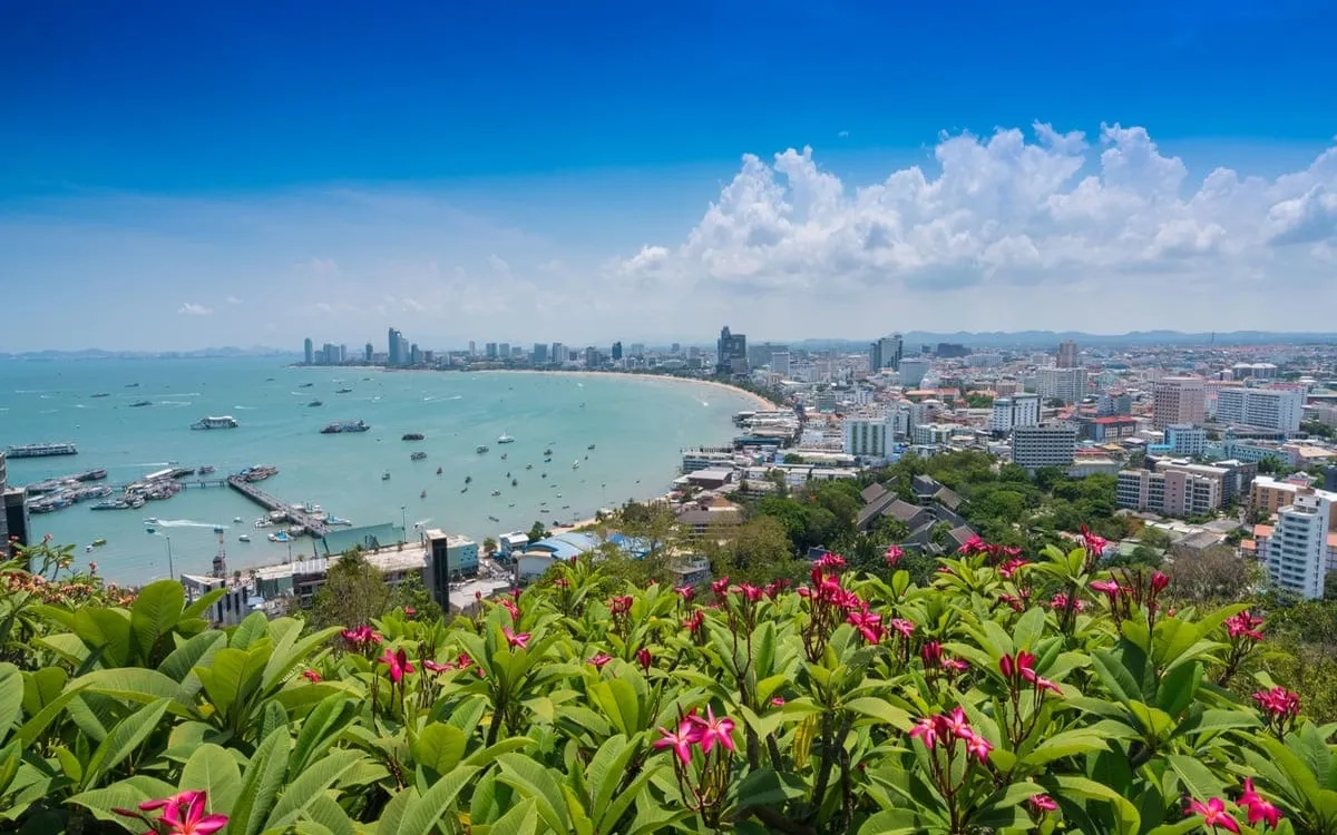 Chauffeur Service in Pattaya