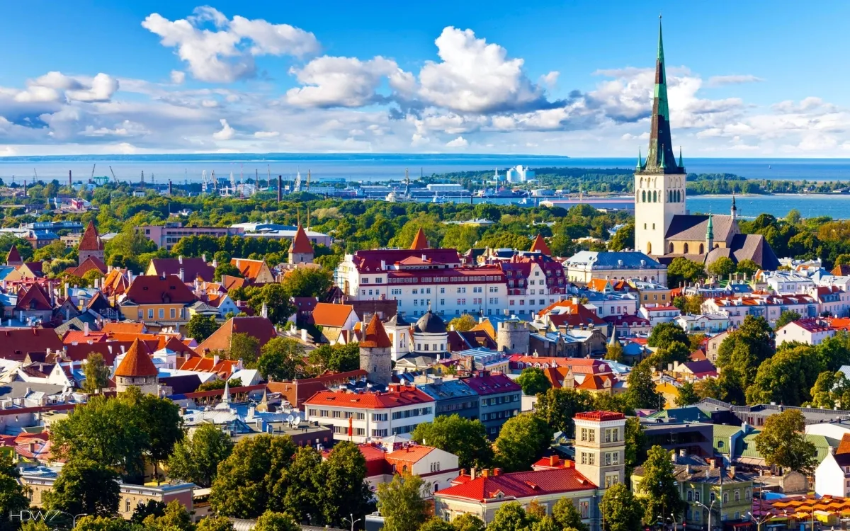 Chauffeur Service in Tallinn