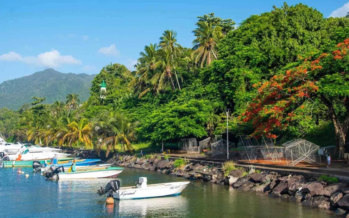 Chauffer Service in Basse-Terre