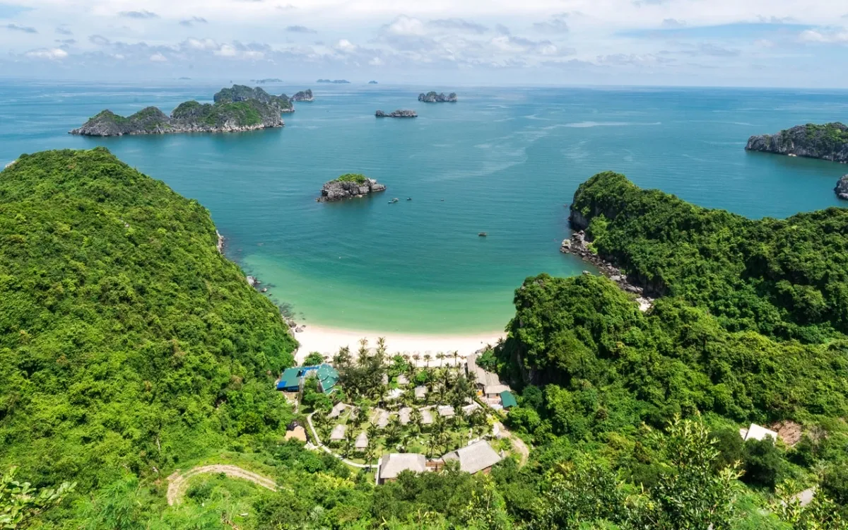 Chauffeur Service in Cat Ba