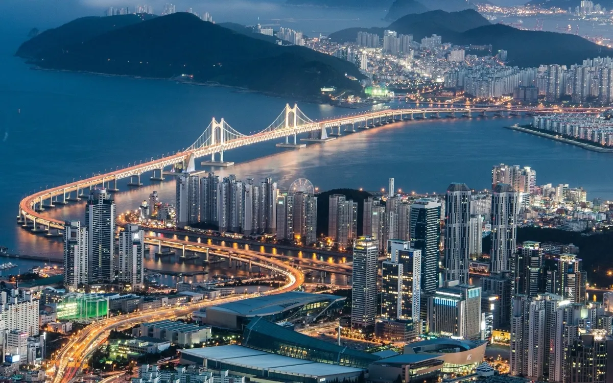 Chauffeur Service in Busan