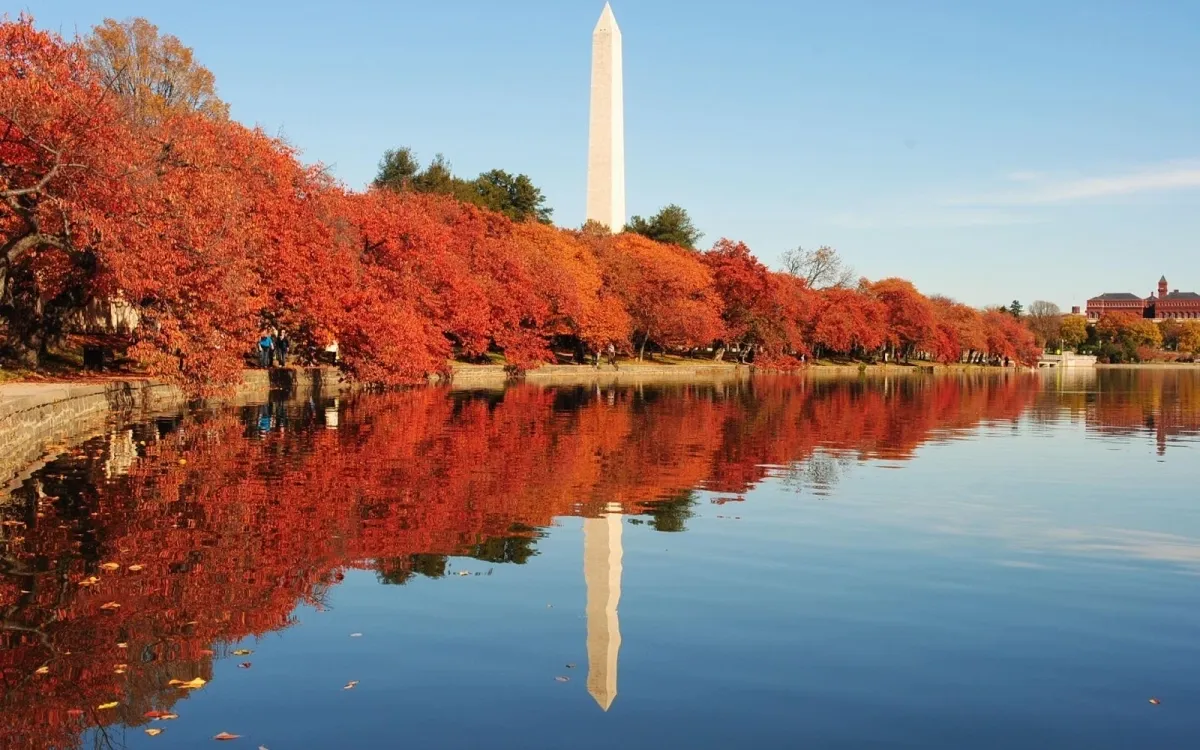 Chauffeur Service in Washington