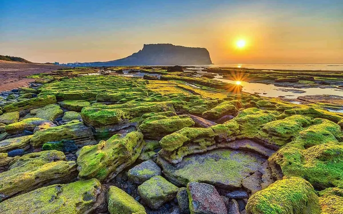 Chauffeur Service in Jeju