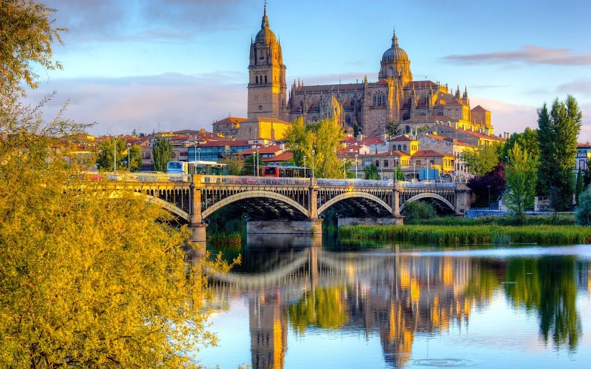 Chauffeur Service in Salamanca