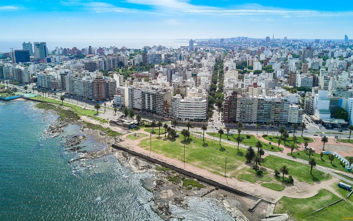 Chauffeur Service in Montevideo