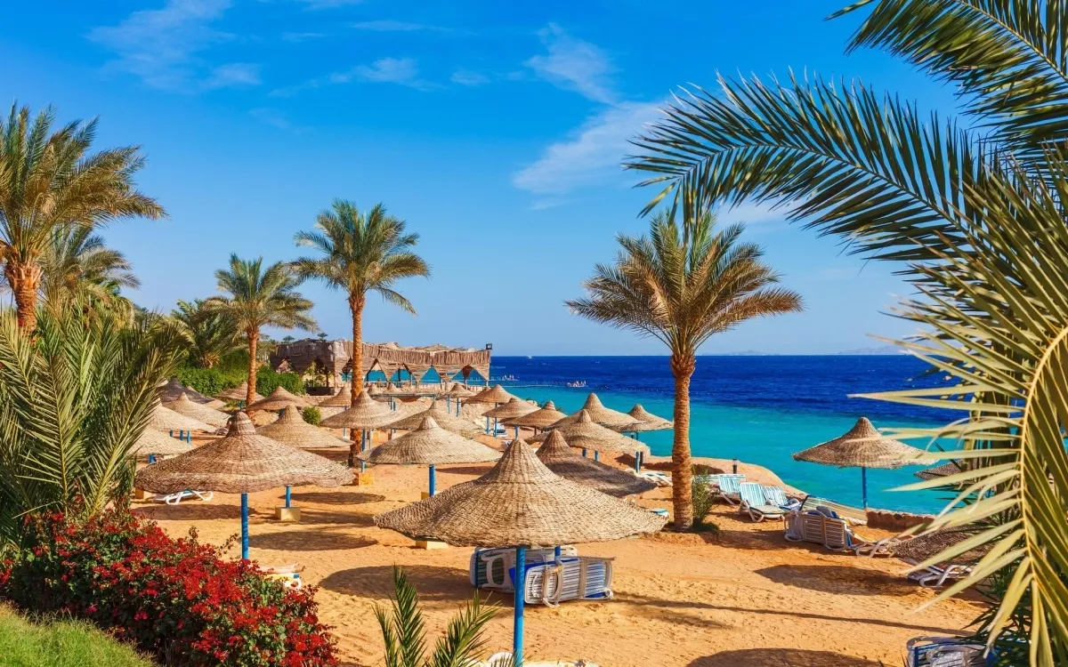 Chauffeur Service in Sharm el-Sheikh
