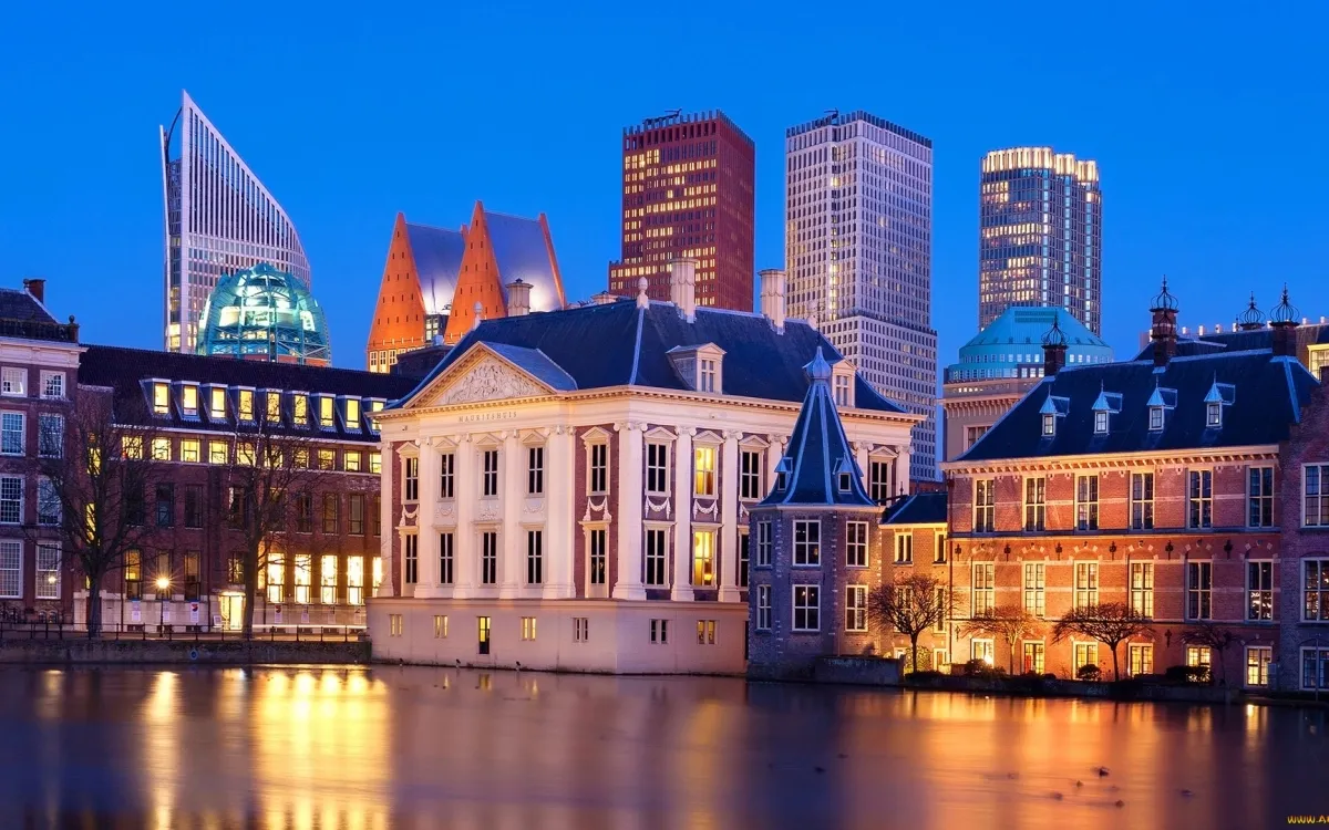 Chauffeur Service in The Hague