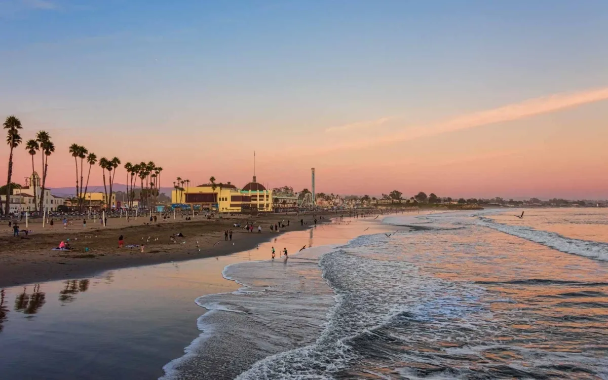 Услуги шофера - Санта-Круз