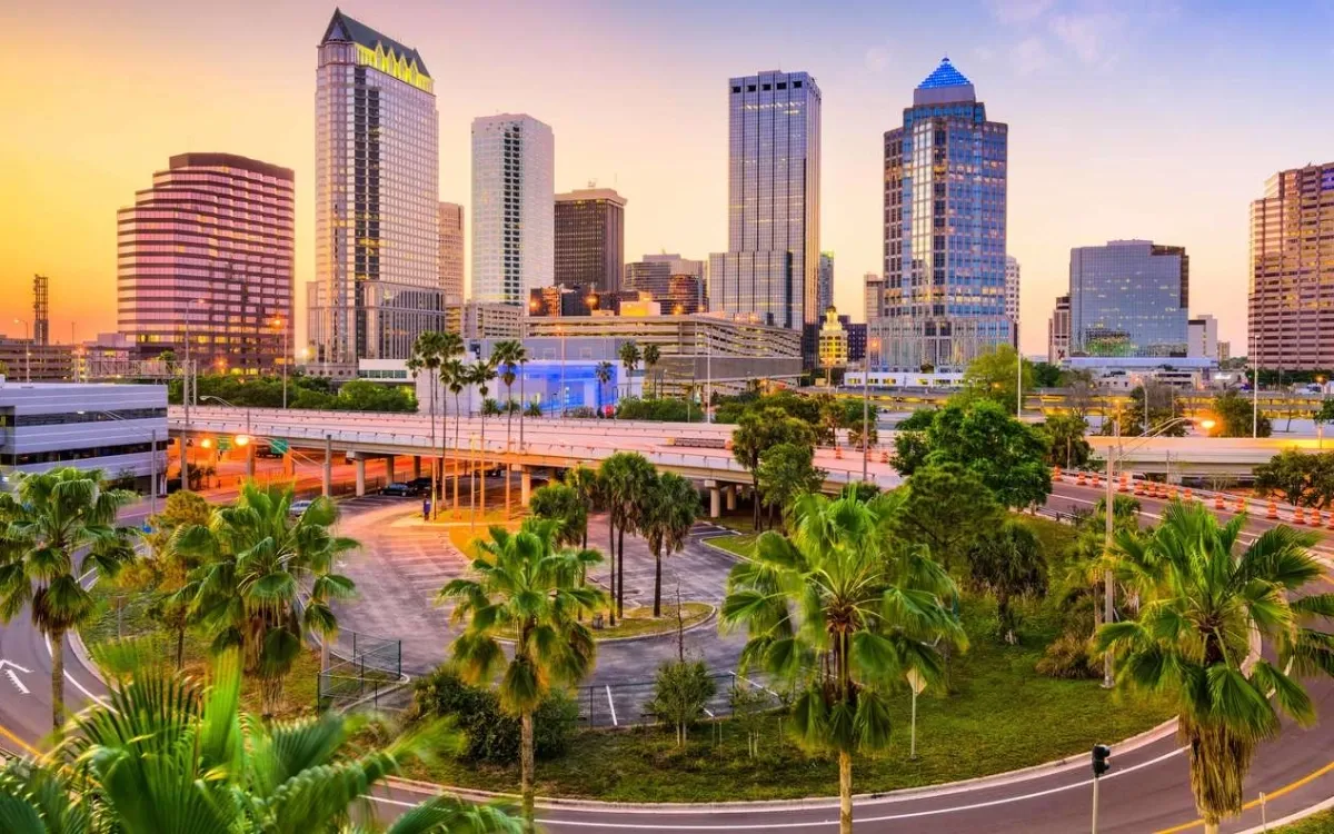 Chauffeur Service in Tampa