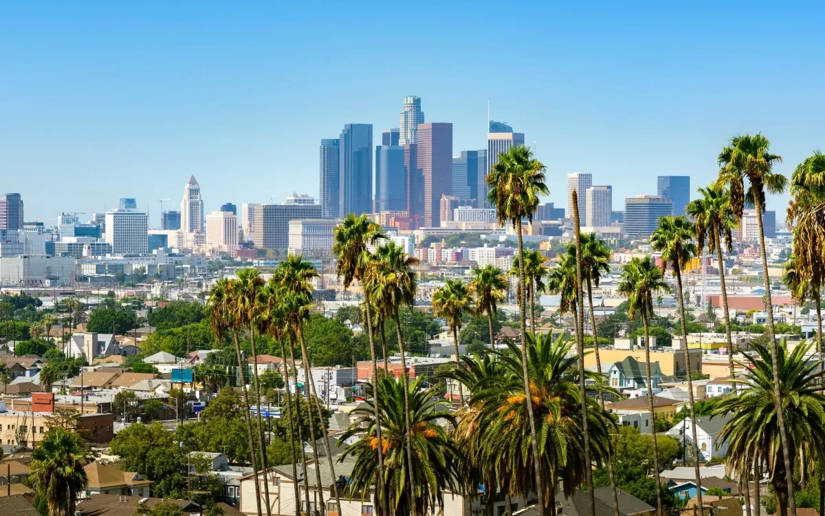 Chauffeur Service in Los Angeles