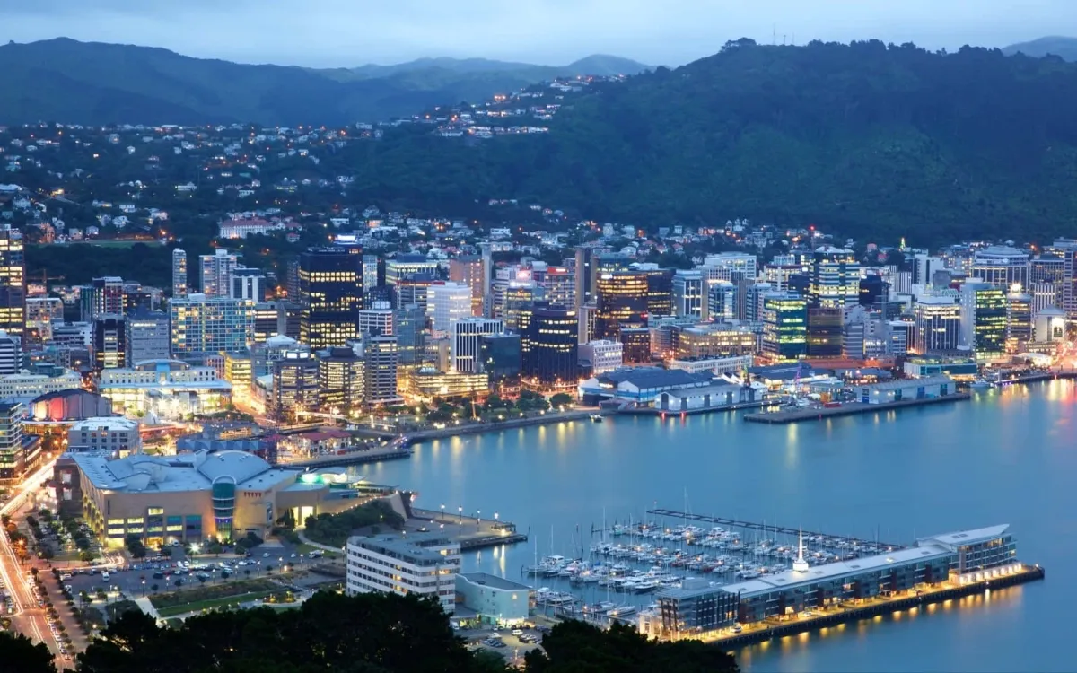 Chauffeur Service in Wellington