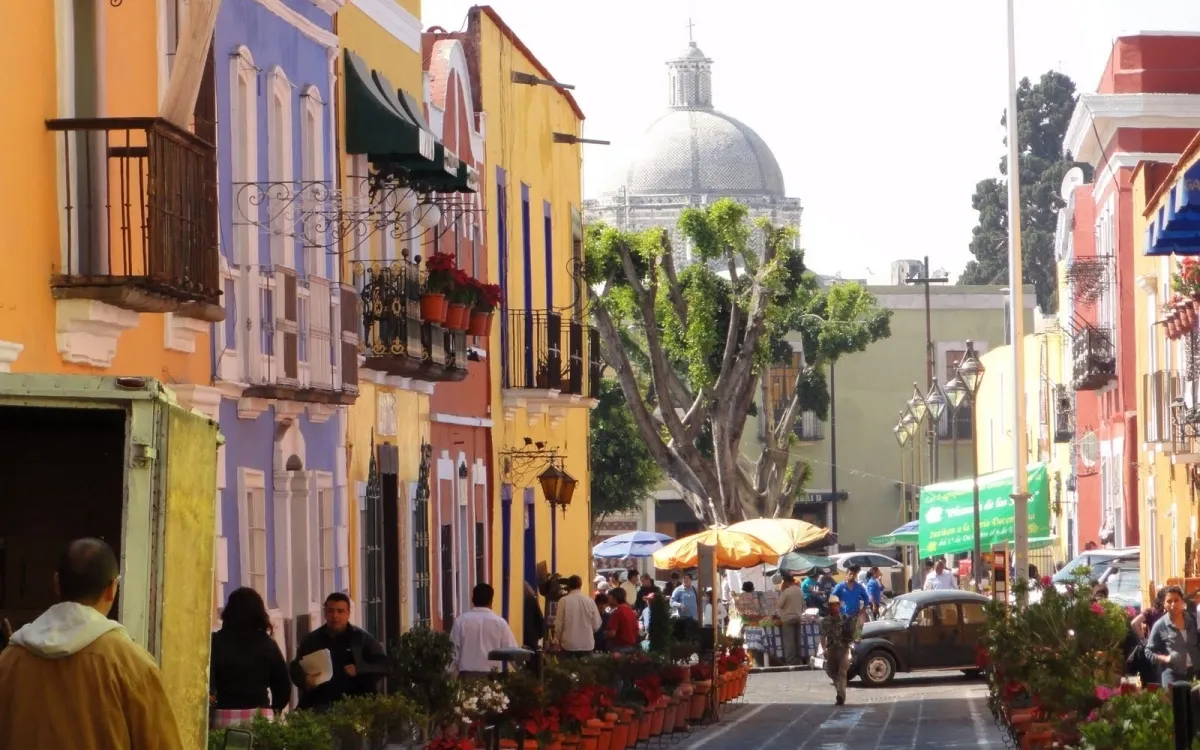 Chauffeur Service in Puebla