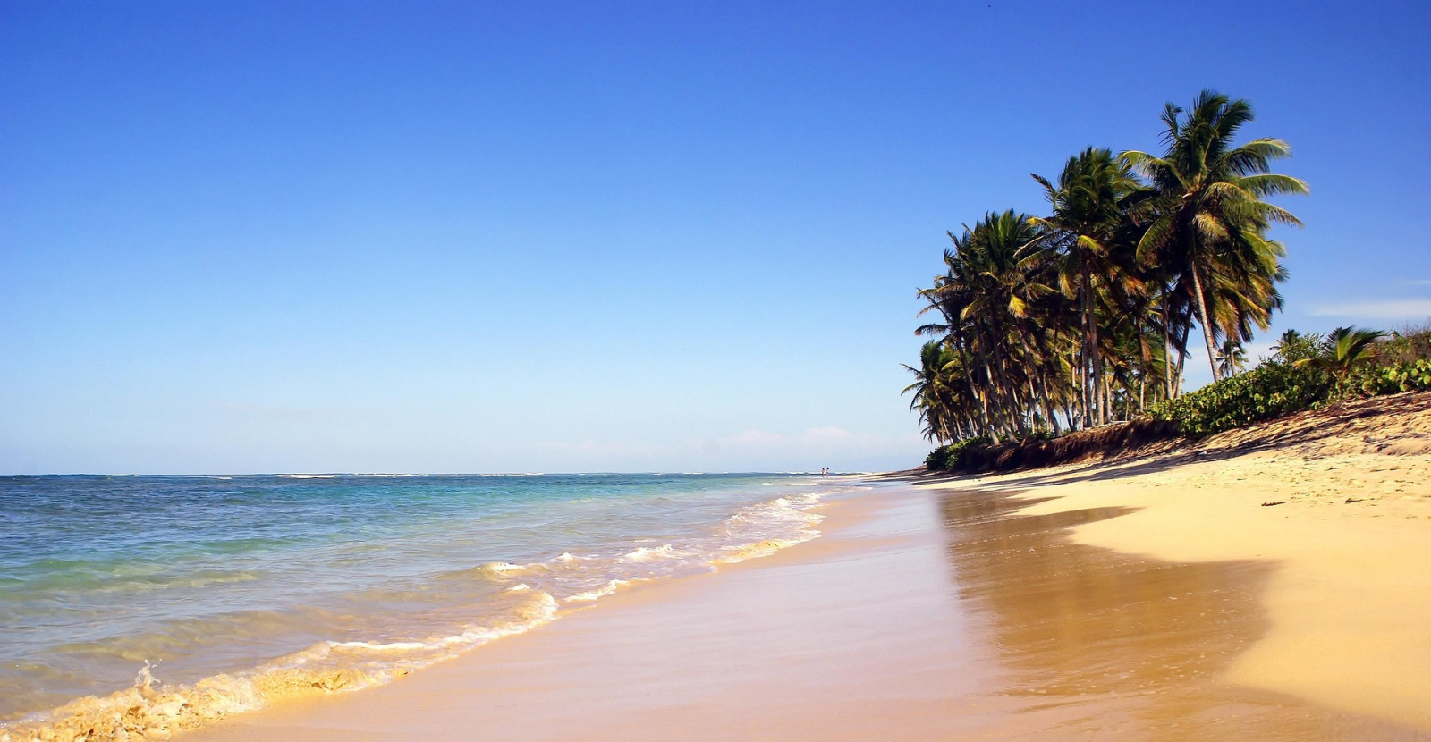 Car Rental with a Private Driver in Punta Cana