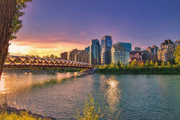 Chauffeur-Driven Car Hire in Calgary: Banff & City Transfers | MyChauffeurDrive