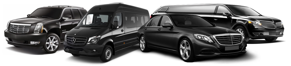 car rental with driver